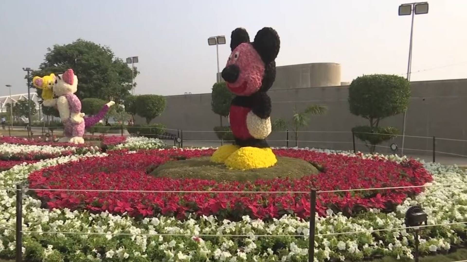 Flower Show