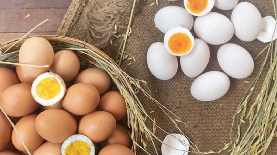 Egg Benefits