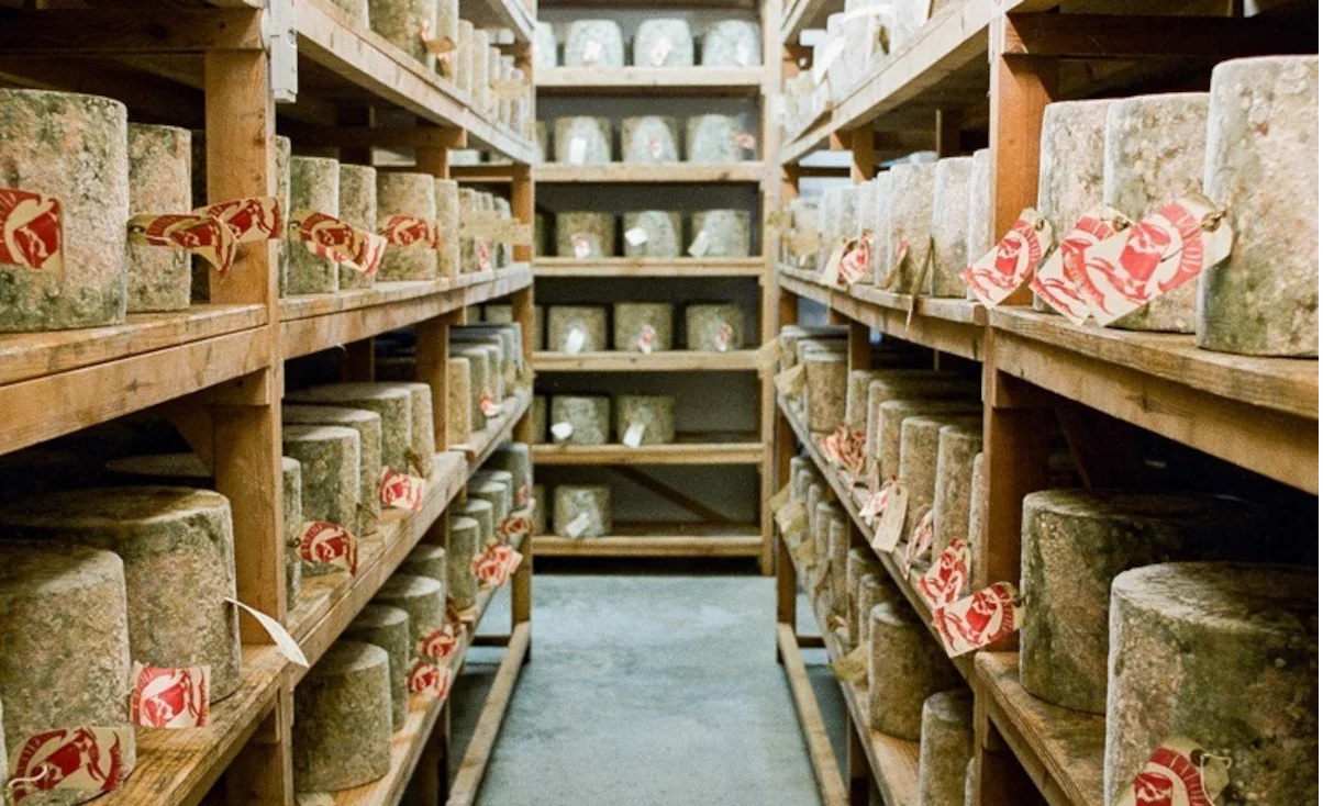 Cheese Theft