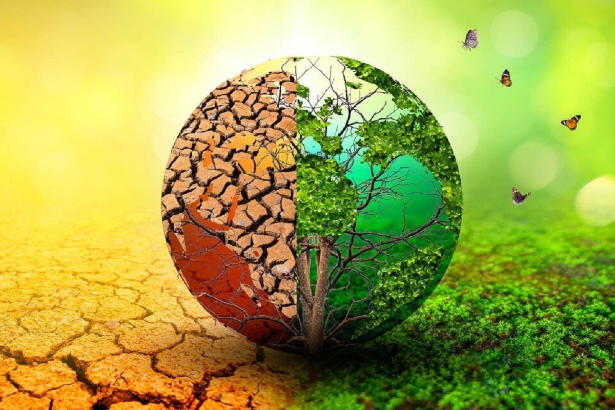 COP29