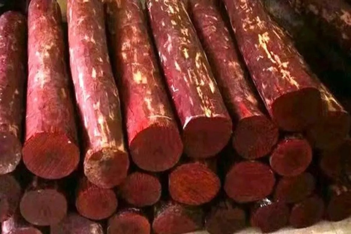 Red Sandalwood Smuggling