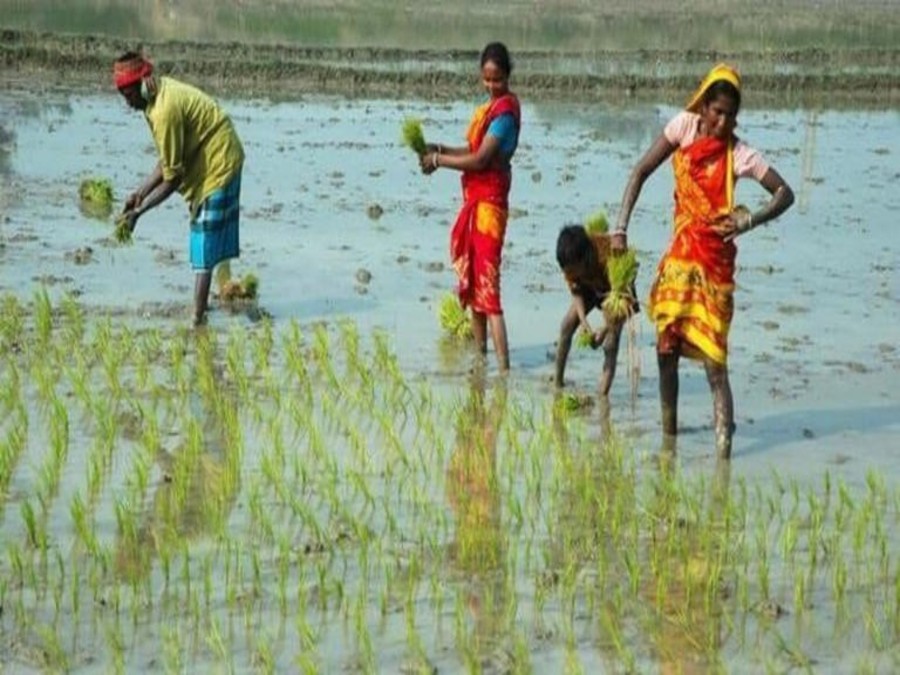 Collateral-Free Loan Limit For Farmers