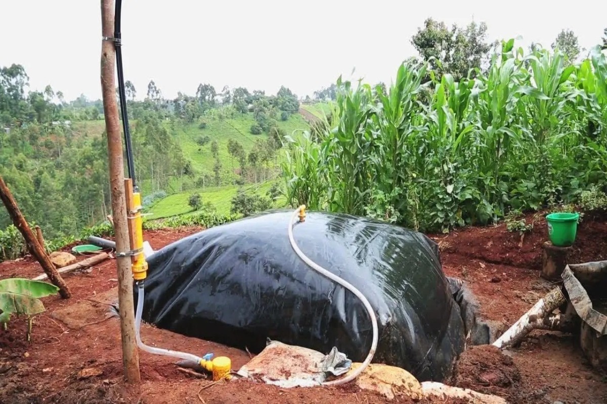 Biogas