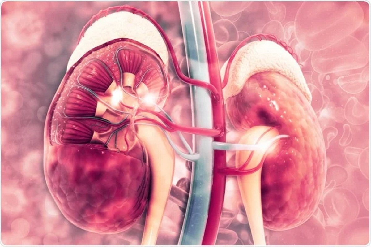 Kidney Failure Symptoms