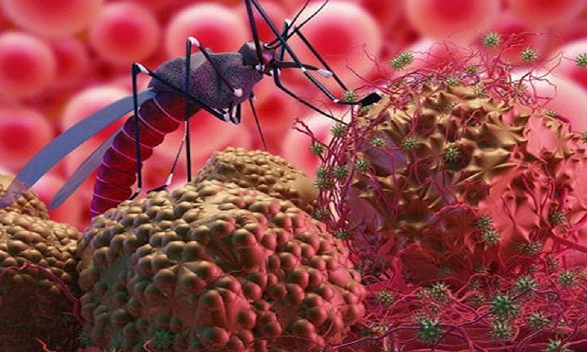 Malaria Cases
