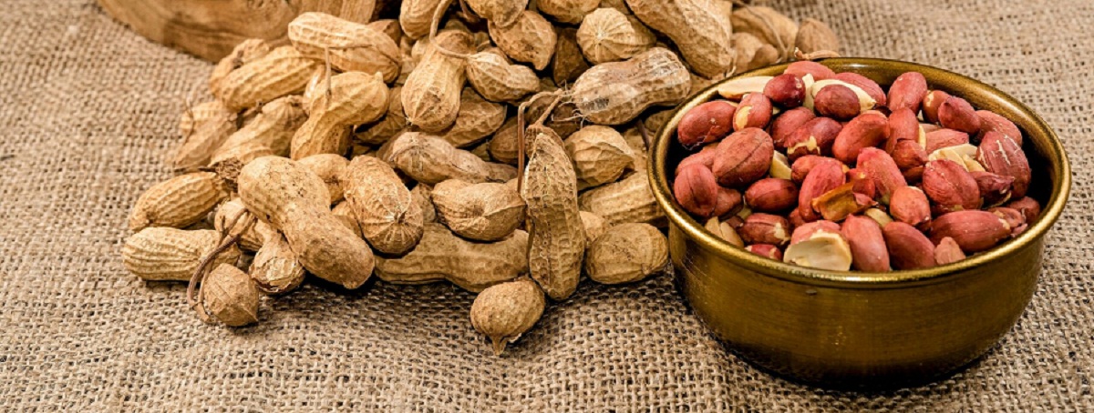 Peanut Allergies