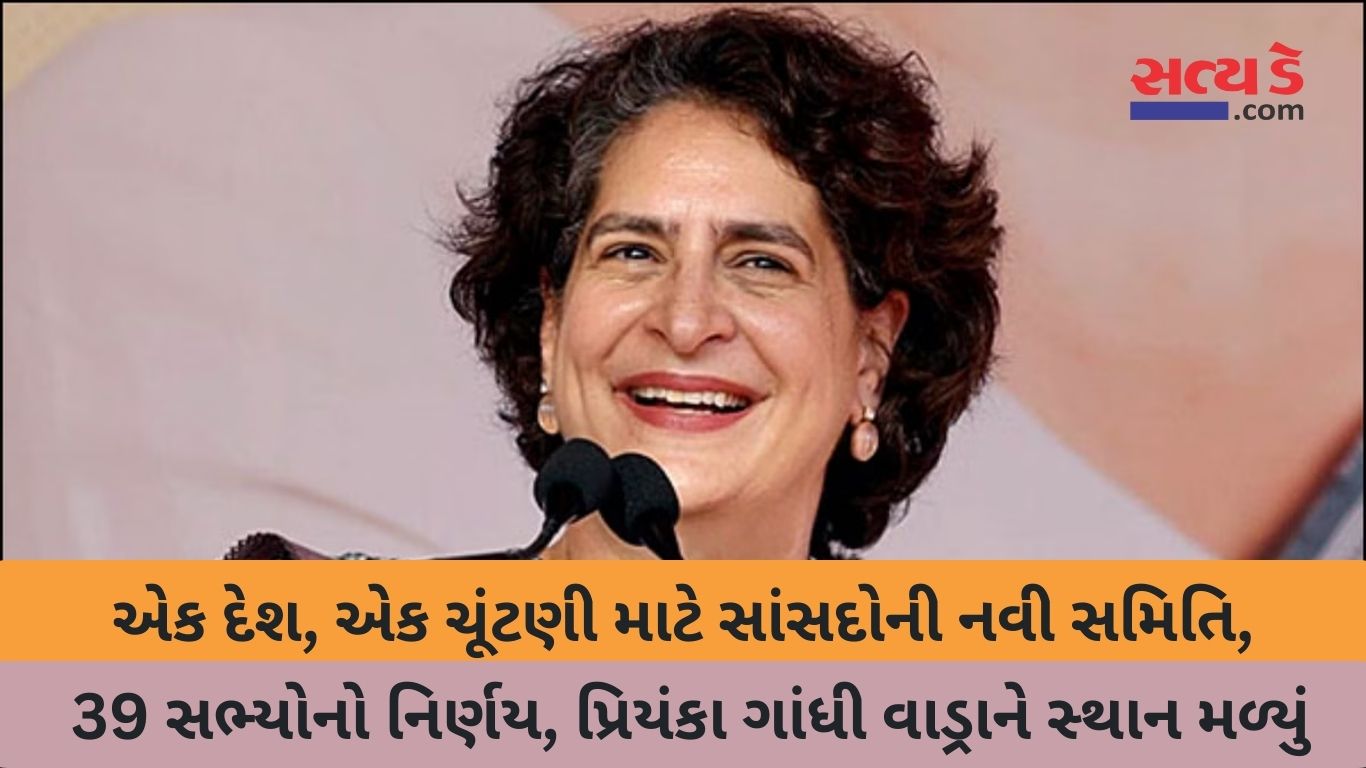 Priyanka Gandhi - Parliament Committee
