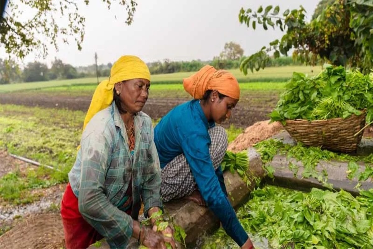 Rural India Transformation
