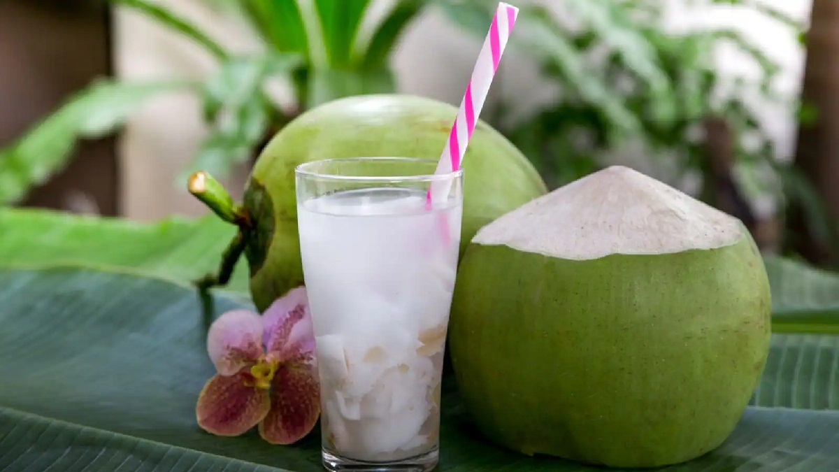 Summer Drinks
