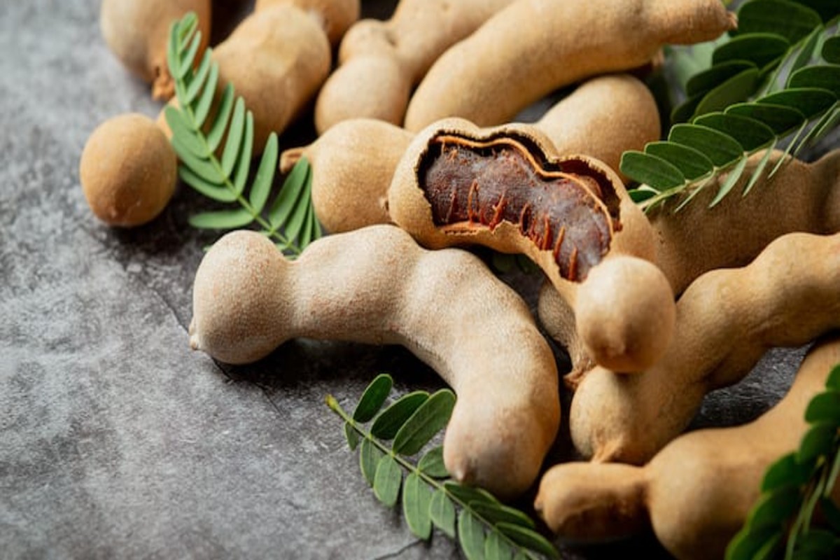 Tamarind Farming