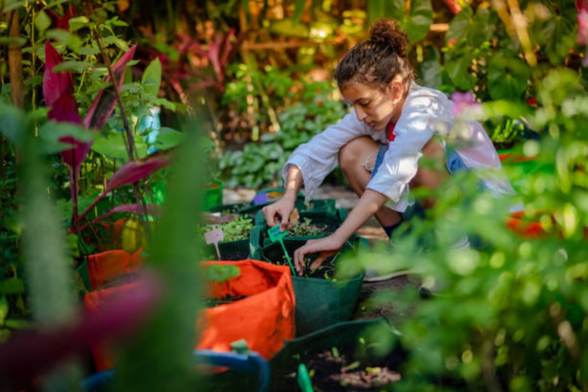 Organic Farming