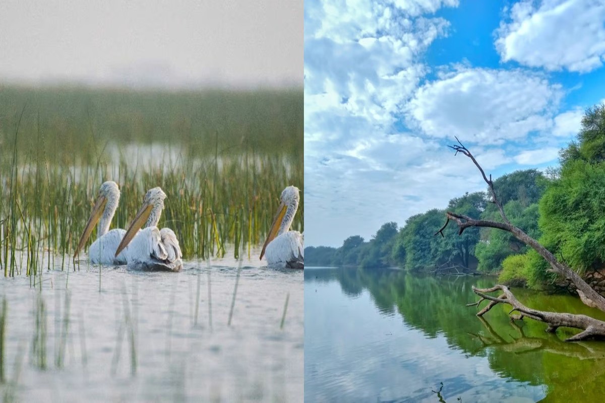 Thol Nal Sarovar