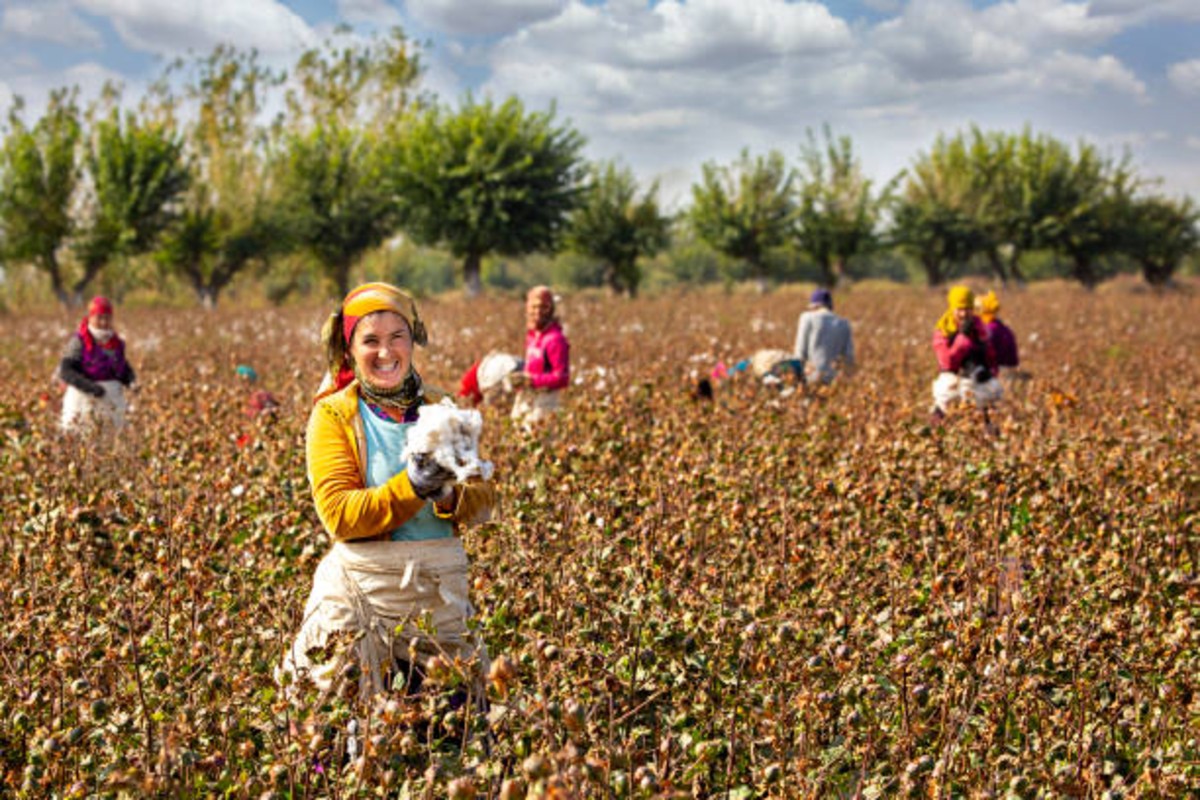 cotton farmers