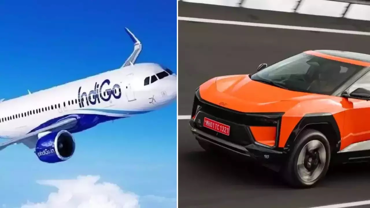 Indigo Satya Day