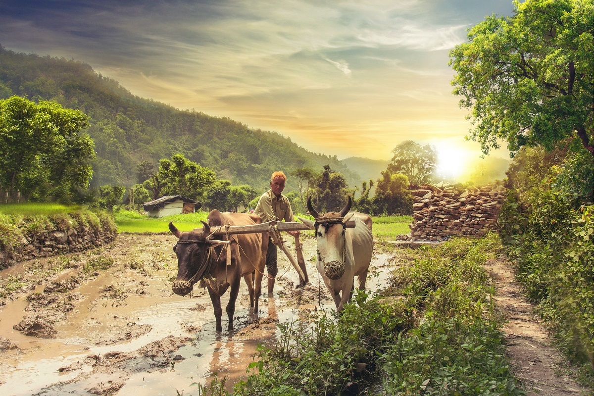 PM Kisan Yojana