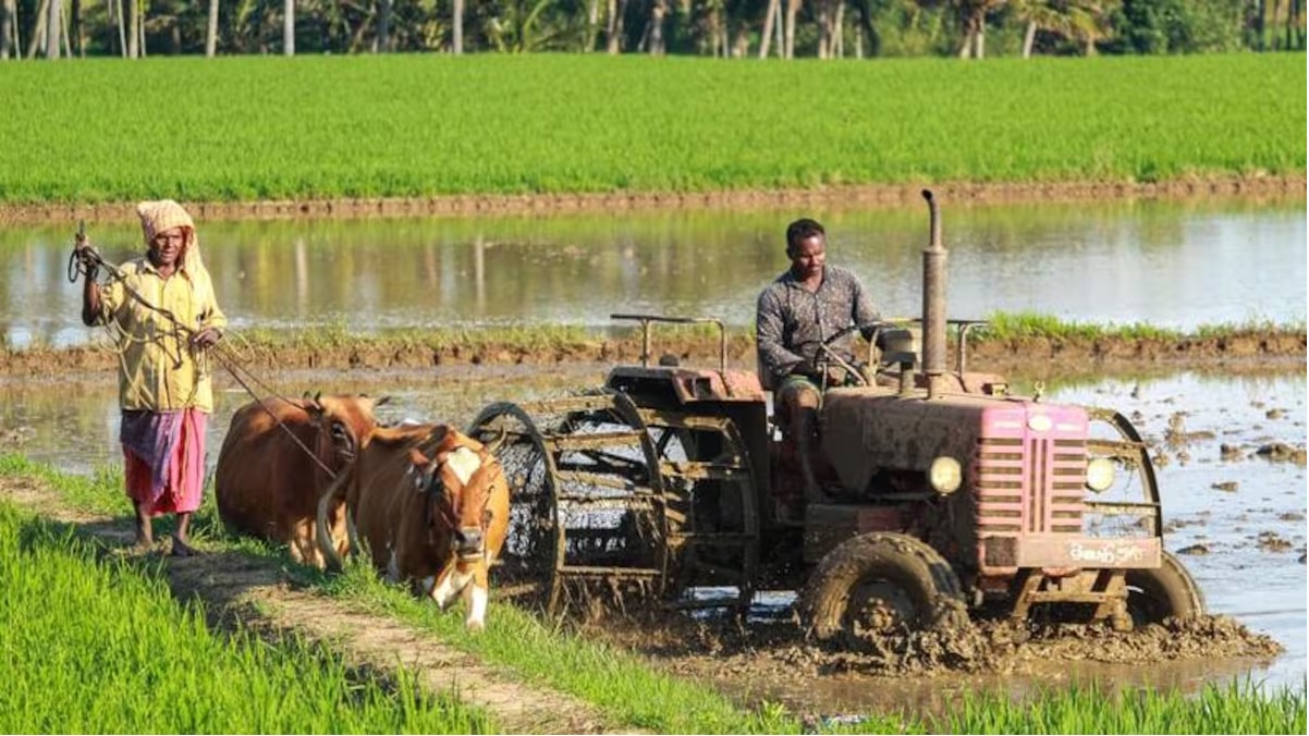 PM Kisan Yojana