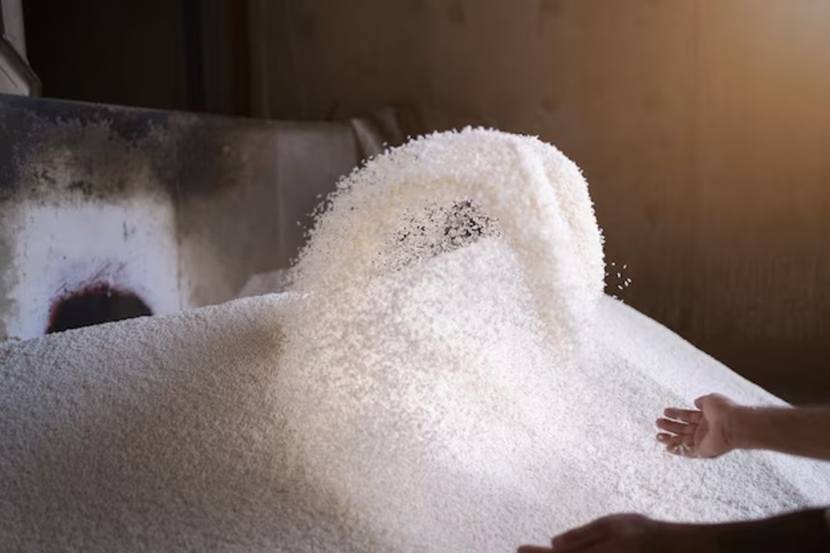 Sugar Export