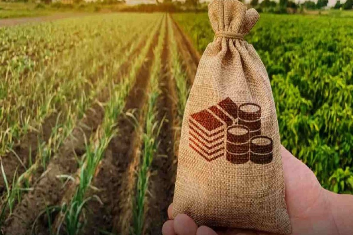 Collateral-free Loan Limit For Farmers