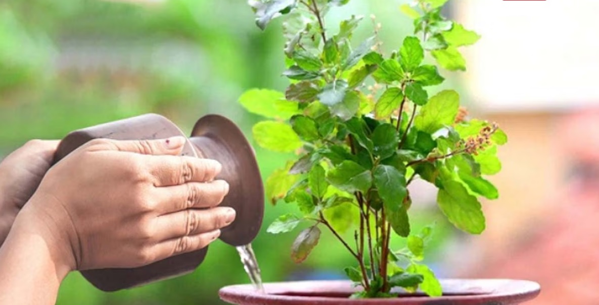 Vastu Tips