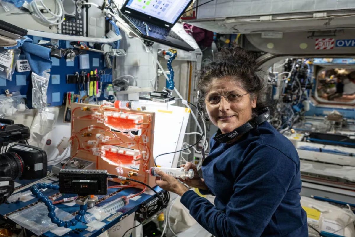 Sunita Williams Salary