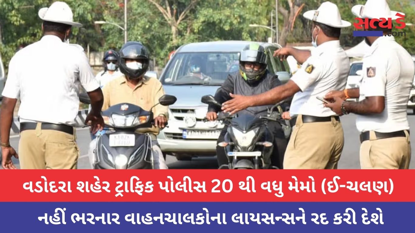 vadodara police