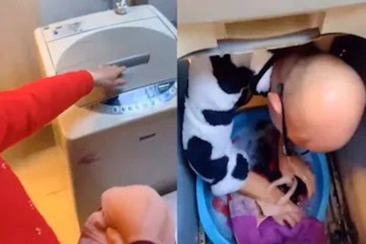 Husband washing clothes
