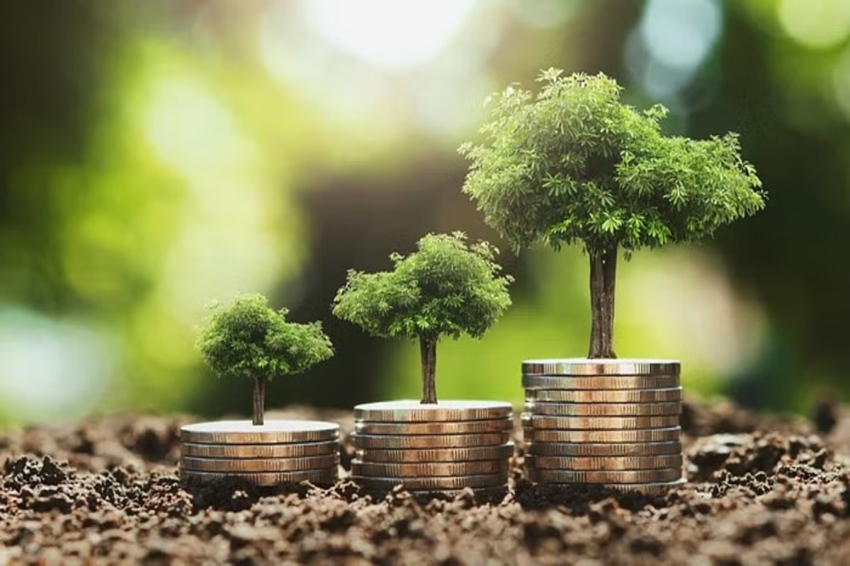 PPF Interest Rate