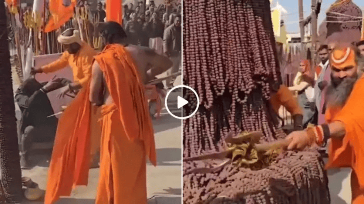 Mahakumbh Viral Video