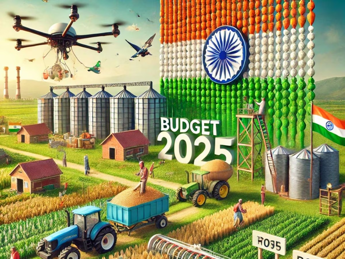 Budget 2025 Expectations