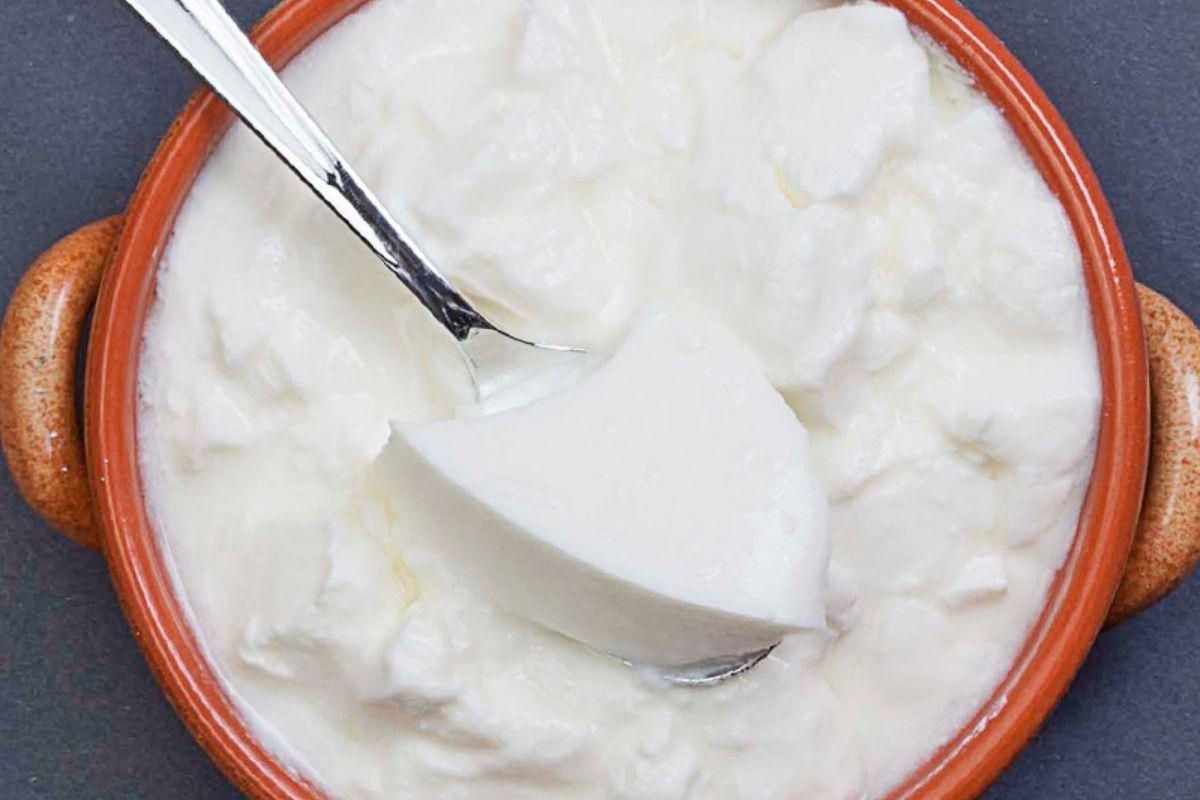 Right Way To Eat Curd