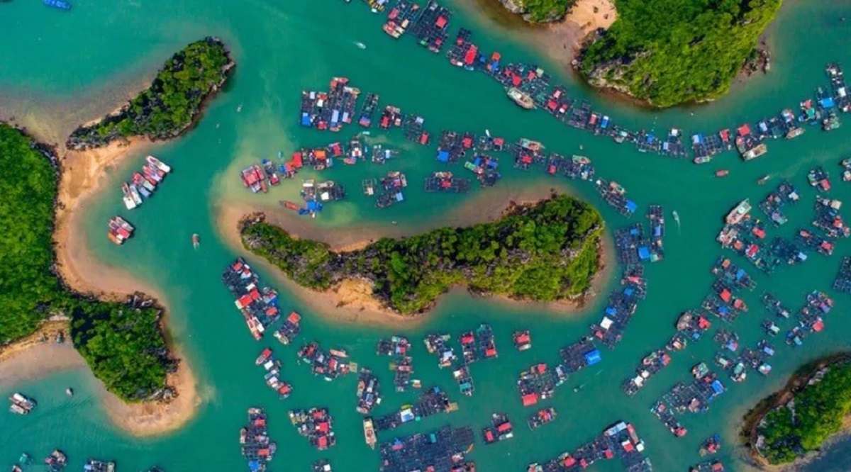Island