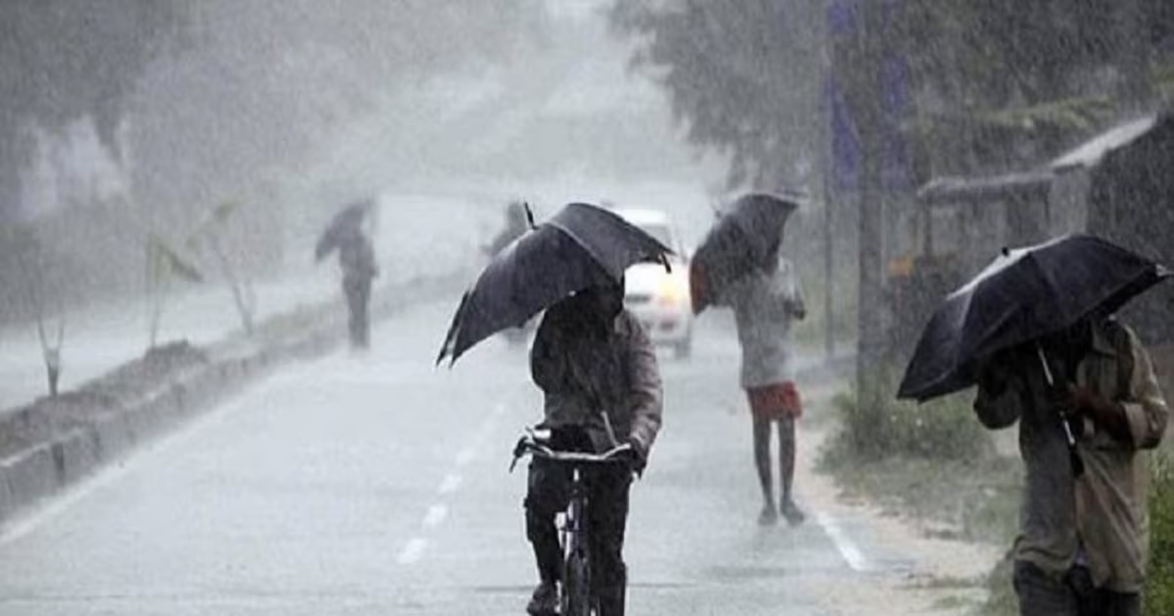 Weather