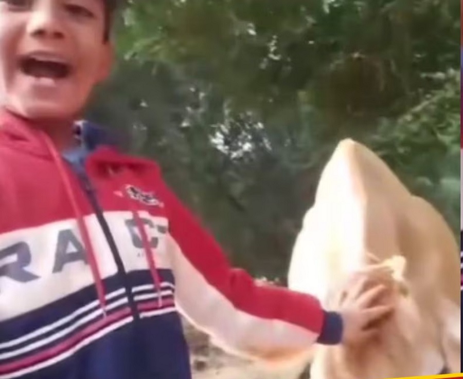Viral Video