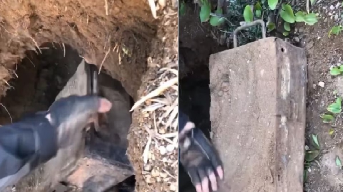 ajab gajab.2