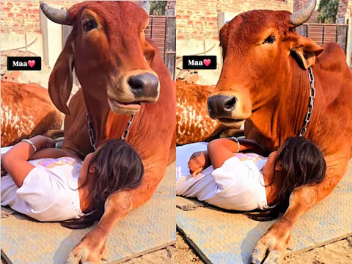Ajab Gajab