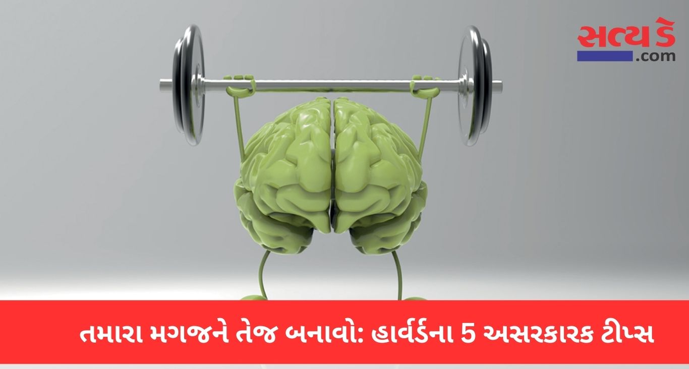 Train Your Brain