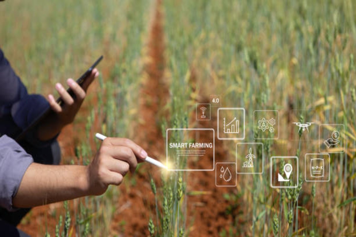 AI in sugarcane farming