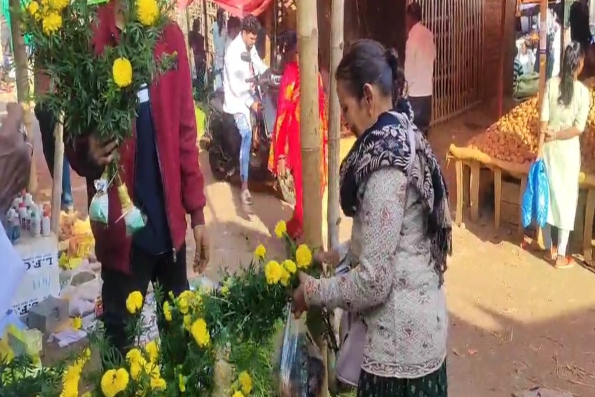 Ajab Gajab news