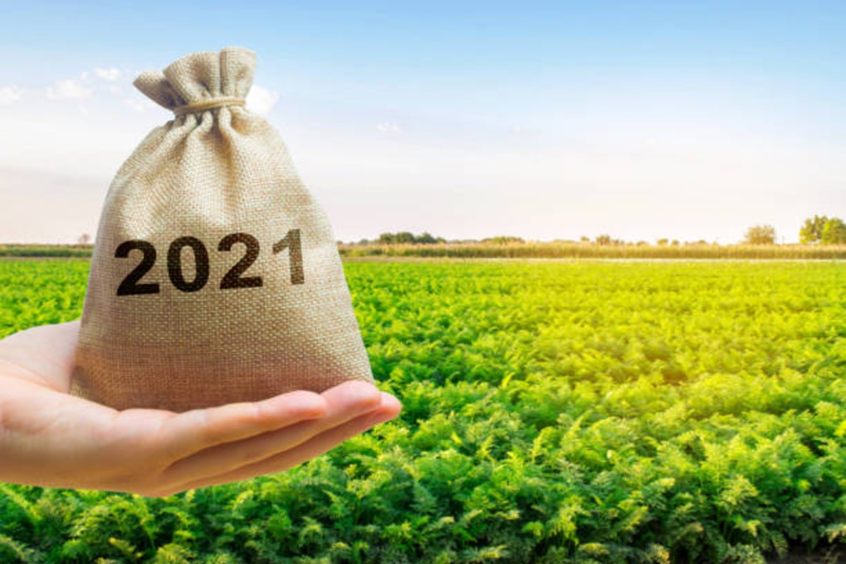 Agriculture Budget 2025