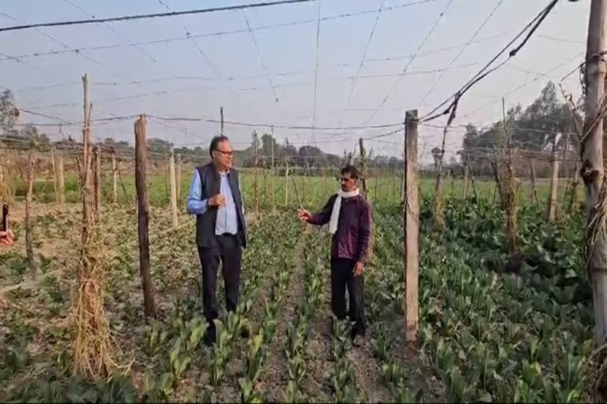 Lucknow Farmer Story