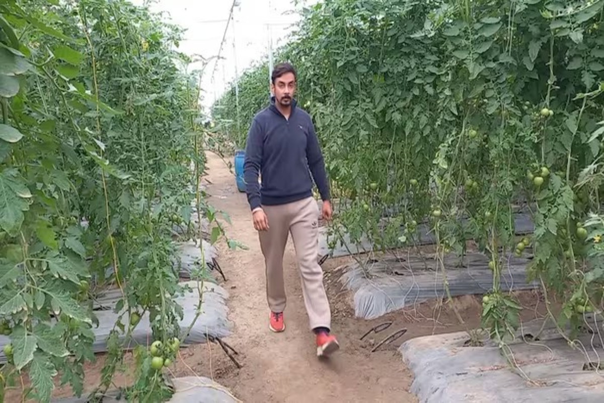 Traditional Farming For Income