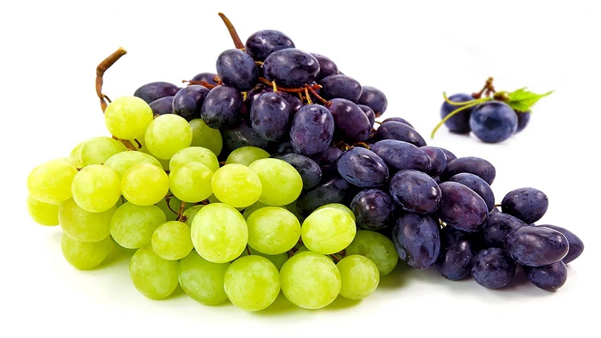 How To Store Grapes