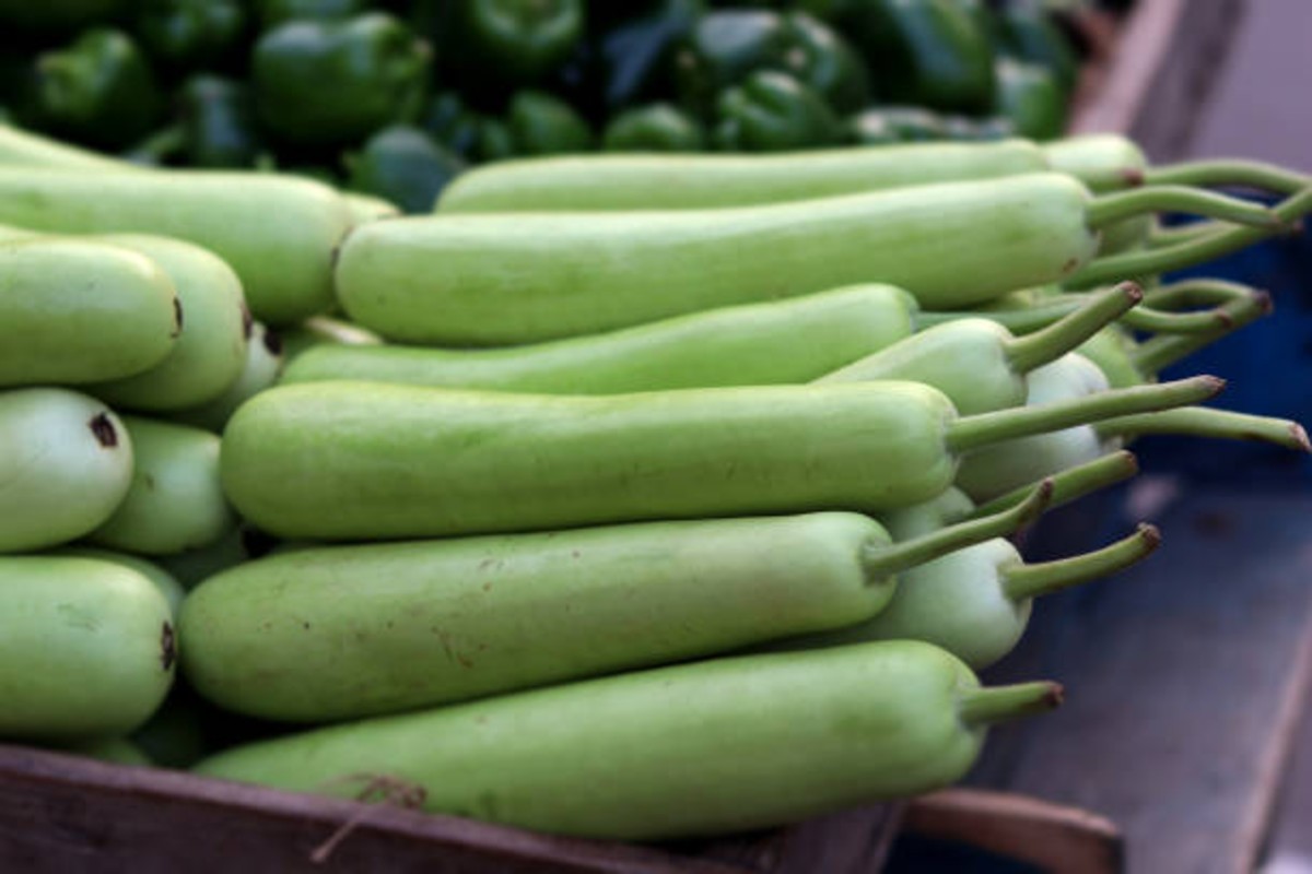 Bottle gourd benefit