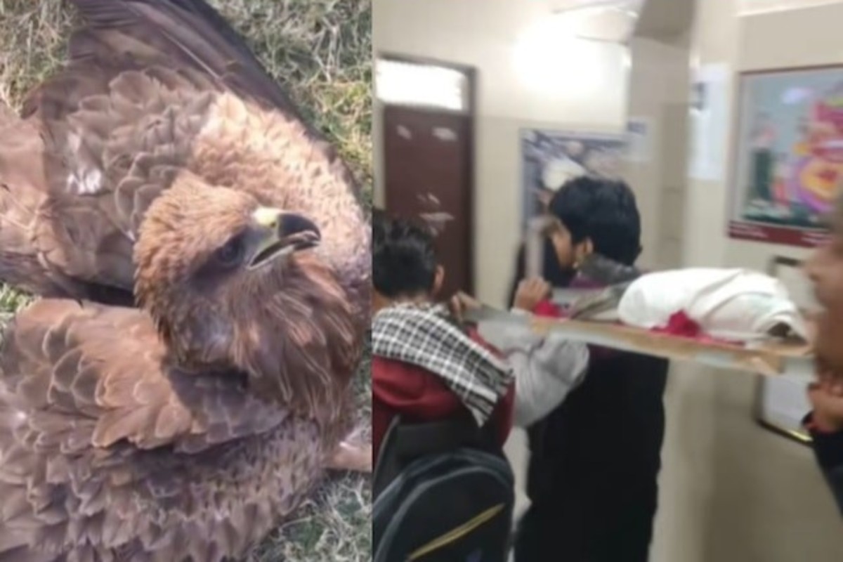 Garuda last rites in college