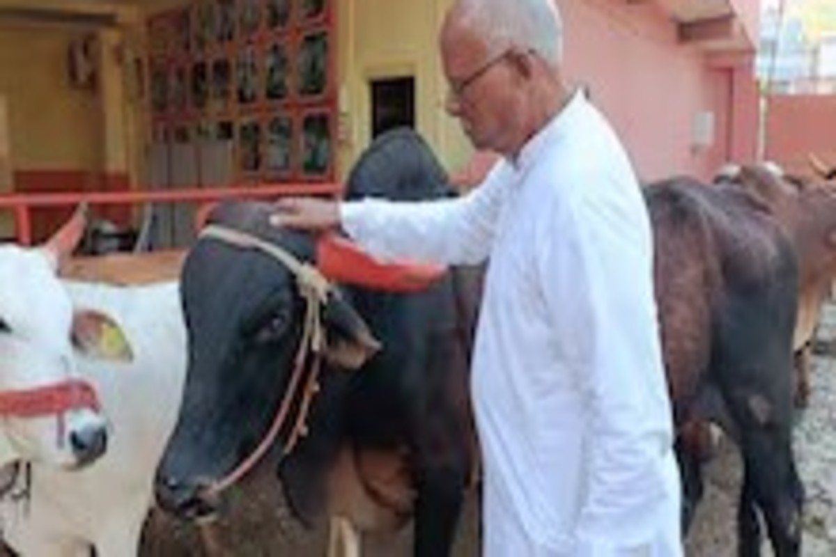 Khandwa Special Nandi