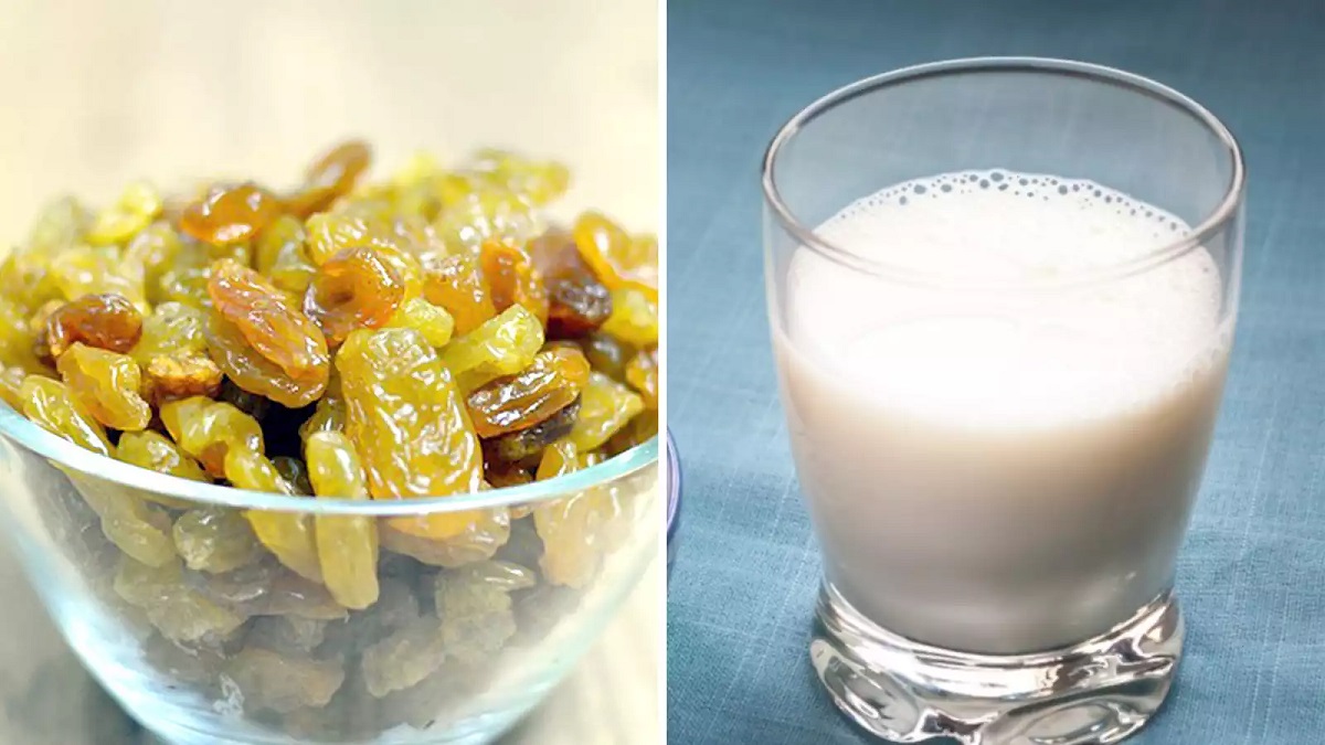 Milk And Raisins 1 Satya Day