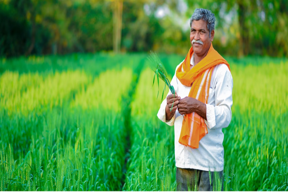 Agri-Fintech Business Growth