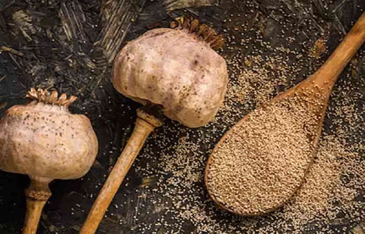 Poppy seeds