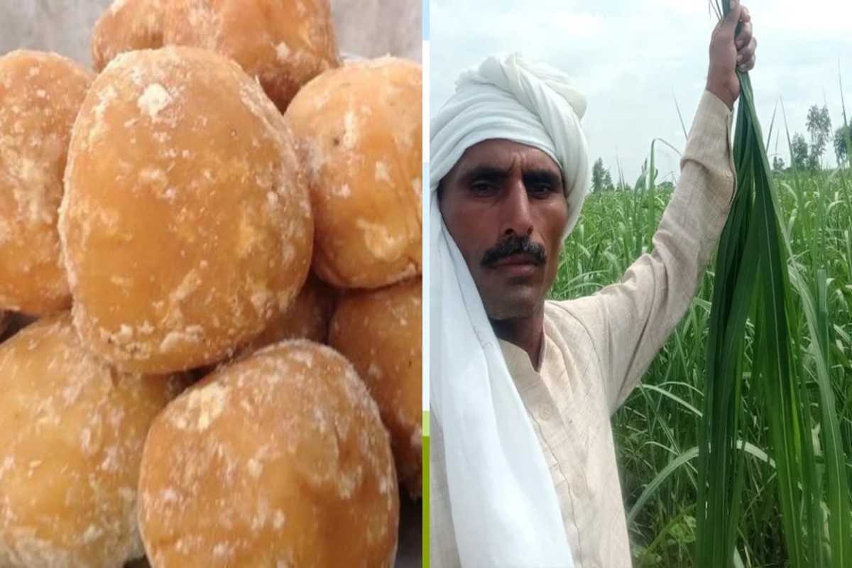 Sugarcane Farmer Story
