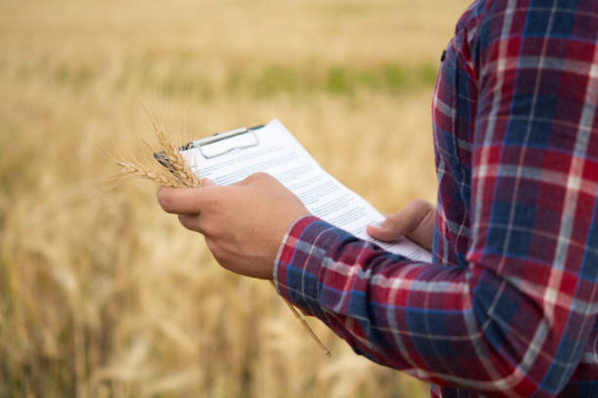 Farmer Registry Portal